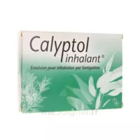Calyptol Inhalant, émulsion Pour Inhalation Par Fumigation à BRIEY