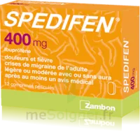 Spedifen 400 Mg, Comprimé Pelliculé Plq/12 à BRIEY